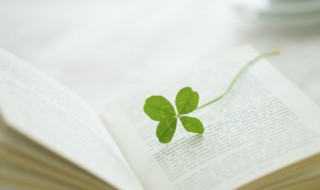 本埠是什么意思 踟蹰是什么意思