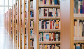 看淡了人情冷暖的句子 写给心累的自己