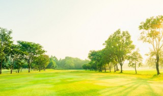 21句正能量的句子 21句正能量的句子简短