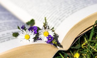 标题音乐是什么意思 音乐标题啥意思