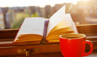 华字五行属什么（桦字五行属什么）