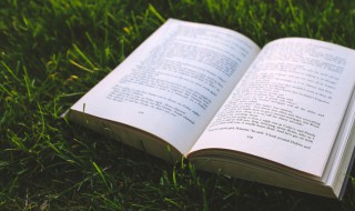 安邦定国是什么意思（安邦定国是什么意思解释）