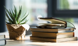 蚌病生珠是什么意思（蚌病成珠的病）