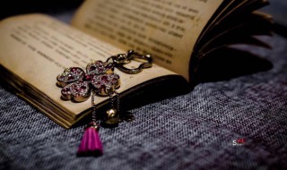 不名一文是什么意思（不名一文是什么意思解释）