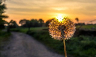 人要看淡心要放宽 人要看淡 心要放宽的句子