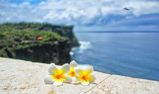 失望的句子短句（从满心欢喜到渐渐失望的句子）