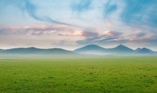 最精辟的佛语（佛语人生金句）