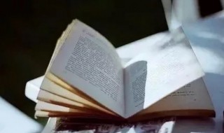 苍白无力是什么意思 一切语言都显得苍白无力是什么意思