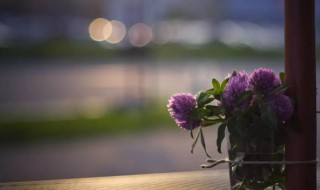 如何放宽心态看淡一切（明白一些事,看清一些人）