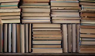 百日王朝是什么意思 百日帝政什么意思