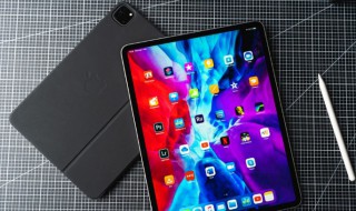 苹果ipad充不进去电是怎么解决(ipad插电有反应但充不进去电)