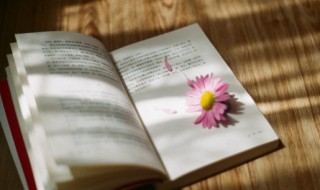 什么是大运 什么是大运神煞