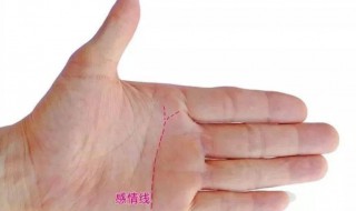 手相感情线代表什么 手相感情线代表什么意思