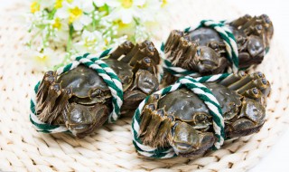 怎么保存活螃蟹 螃蟹应该怎么保存活螃蟹