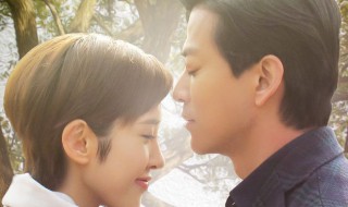 杨桂华是什么电视剧 桂兴华是哪部电视剧的人物