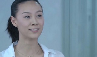 何正中是什么电视剧(有何正中主任的电视剧叫什么)