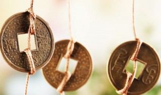 猫在风水上代表什么 风水大师说养猫好不好