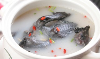 乌鸡和什么炖汤最好（家常炖乌鸡汤的简单方法）