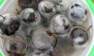 冻梨软了还可以再冻么 冻梨软了还可以再冻么嘛