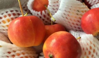 哪些人不能吃沙果 哪些人不能吃沙果和核桃