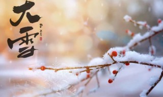 大雪节气特点是什么（大雪节气特点是什么意思）