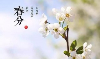 春分这个节气有什么特征 春分这个节气有什么特点