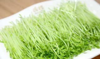 豌豆苗的吃法（四种人不宜吃豌豆）