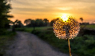 唯美的心情说说签名 唯美的心情说说签名句子