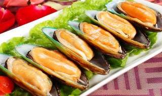 鲜贻贝的吃法（新鲜贻贝的吃法）