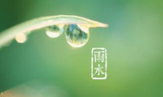 雨水节气如何预防上火（雨水节气应该怎么养生）