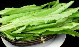 哪些人不能吃油麦菜 哪些人不能吃油麦菜?