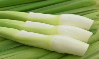 茭白的吃法 茭白怎么炒的好吃