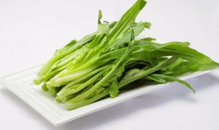 油麦菜的吃法（油麦菜吃法）