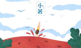 小暑节气中医养生(节气处暑中医养生)