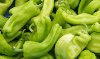 青椒的吃法（青椒的吃法与做法）