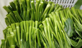 哪些人不能吃菜苔 什么人不能吃菜苔