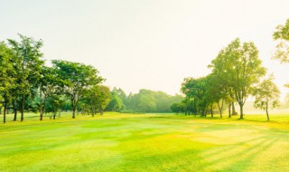 美好的一天早晨好问候语 美好的一天早晨好问候语句