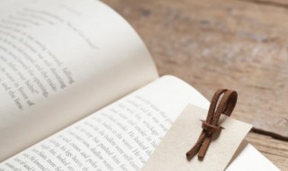 爽然若失意思（爽然若失意思造句）