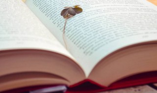 侃侃而谈意思 侃侃而谈意思相近的词语