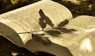 路人皆知意思（路人皆知意思的成语）