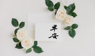 每日一条早安文案（每天早安文案）