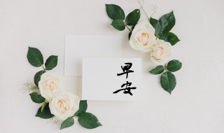 冬天早安问候语简短（冬天早安问候语简短英文）