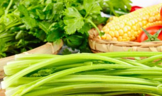 吃生芹菜行吗（芹菜能吃生的吗）