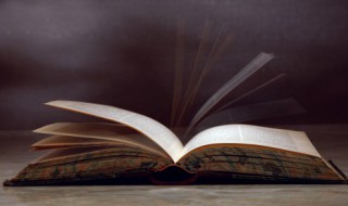 长袖善舞意思（长袖善舞意思解释）