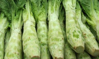 莴苣老了还能吃吗（莴苣坏了还能吃吗）