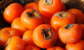 喝茶吃柿子 喝茶吃柿子行不行