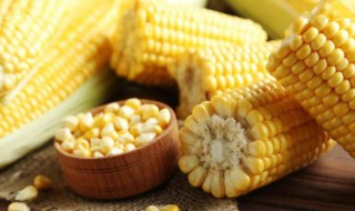 甜玉米应该怎么吃才美味 甜玉米怎么好吃