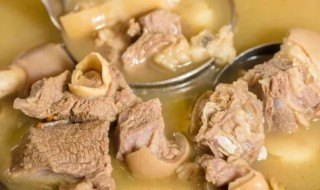 冬季补肾吃什么好呢（冬季补肾吃啥最好）