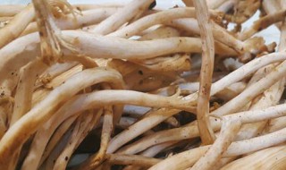 干茶树菇炒什么呢 干茶树菇怎么炒好吃?