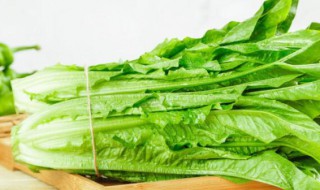 油麦菜有什么营养呢（油麦菜有什么营养呢）